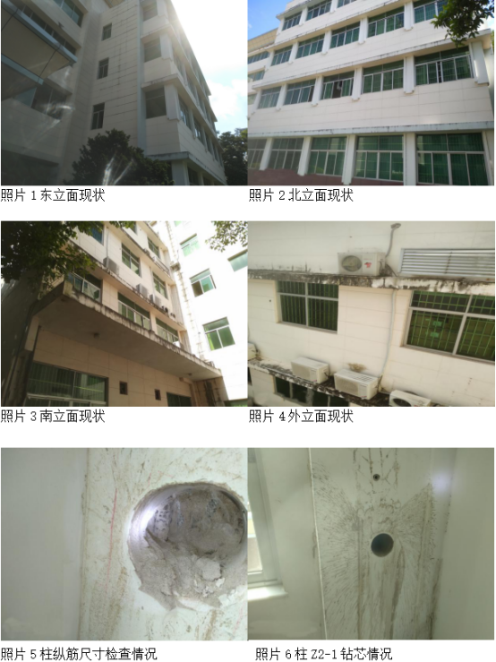 1561607534955516.jpg 5d084c65ed95d.jpg