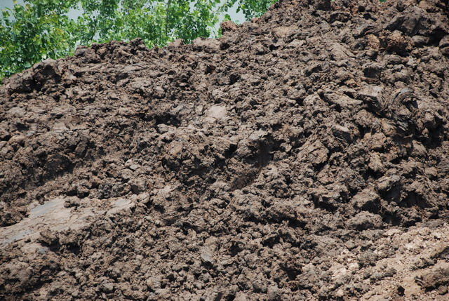 1768030240217086.jpg 淤泥.jpg